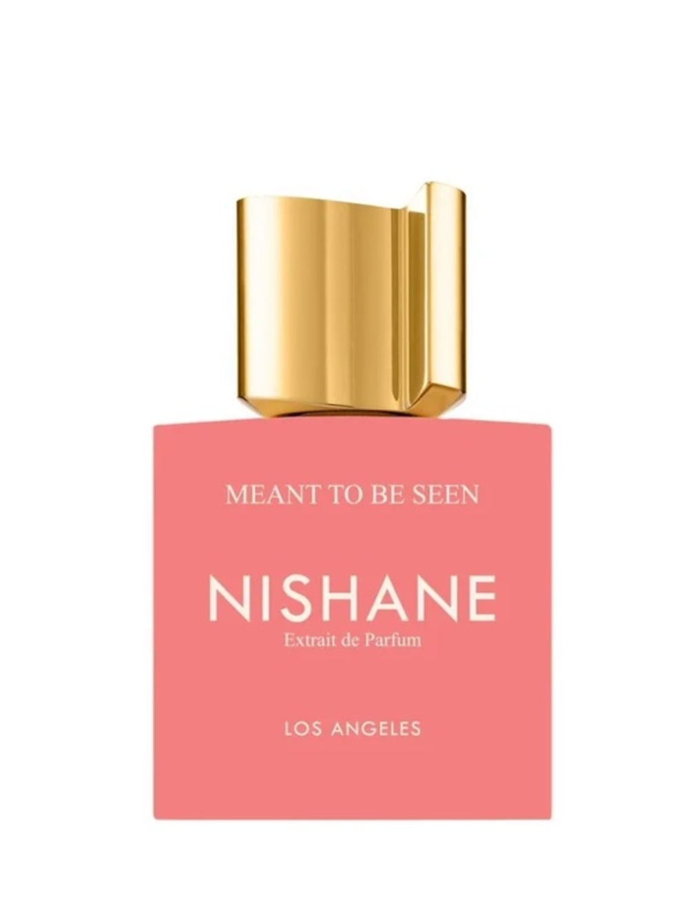 Nishane Meant to be Seen 5ml decant